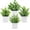 White, variant on 4 PCS Small Fake Plants,Mini Artificial Faux Plants,Indoor Eucalyptus Lavender Spring,for Halloween Room Farmhouse Desk House Bathroom Decor (Black)