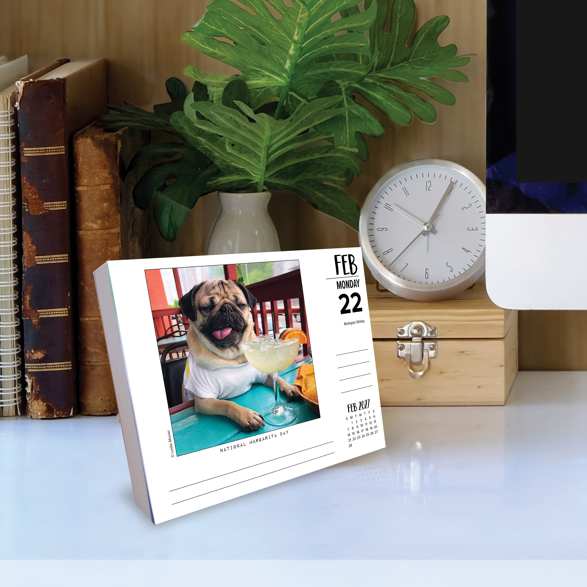 Willow Creek Press, Doug the Pug 2027 Box Calendar-USA