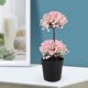 thumbnail image 3 of Planta en maceta Artificial, simulación de bonsái falso, adorno de bonsái, decoración de plantas en maceta, 3 of 4