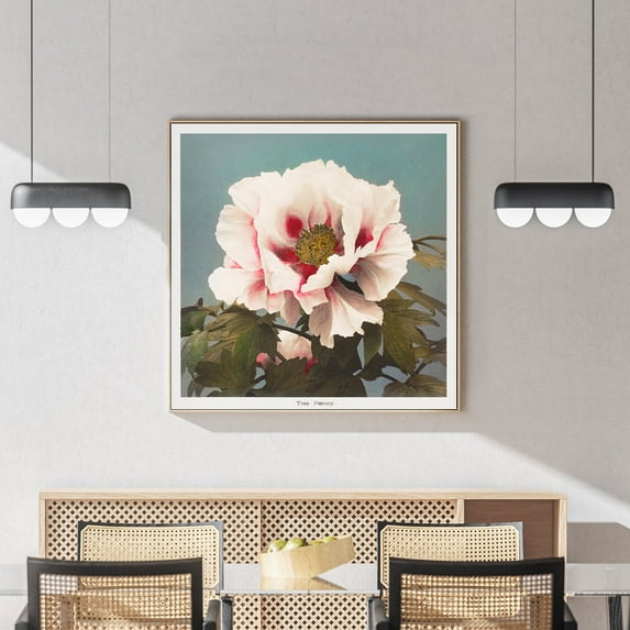 Tree Peony 2 - 1896 | Ogawa Kazumasa | Premium Fine Art Print | 19th Century Japanese | Print Art | Botanical | Plant Art | Nature Art