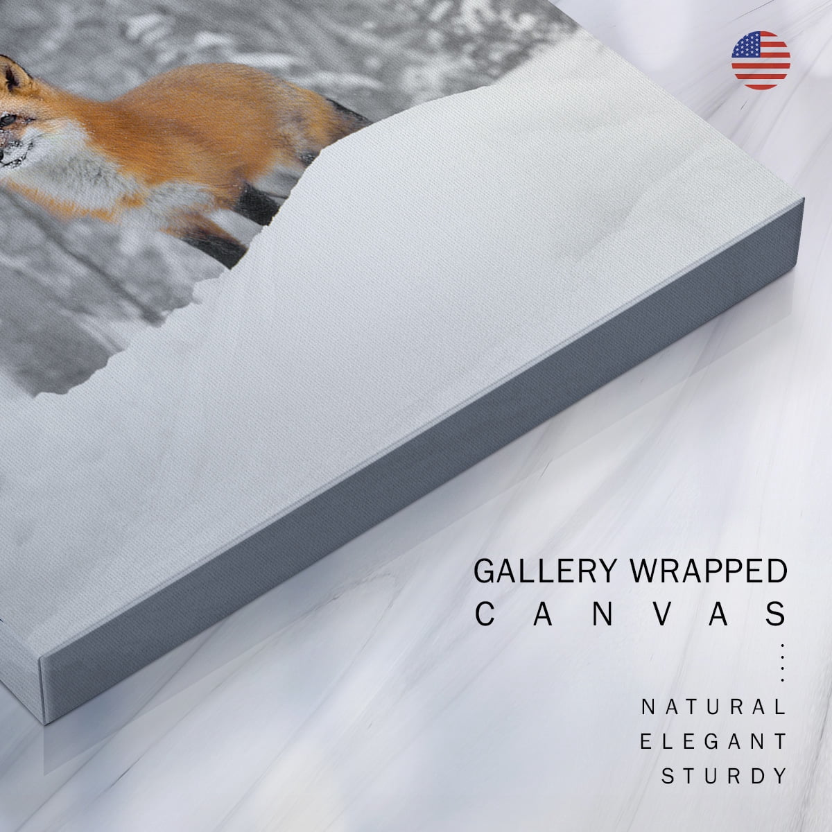 Wexford Home Wildlife Animal Wall Art 24 x 24 inches Each, Fox Wolf Polar Bear Chickadee Picture Prints Set of 4 Decoration for Cabin Motel Home Wall Decor