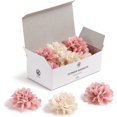 thumbnail image 1 of U Brands Mini Flower Magnets Set, Office Supplies, Pink and Cream, 12 Count, 1 of 5