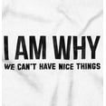 thumbnail image 2 of Why We Cant Have Nice Things Funny Men's Graphic T Shirt Tees Brisco Brands S, 2 of 4