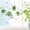 Ws-04-dl, variant on Green Vine Window Clings Wall Stickers, PVC Double-Sided Vines Flower Anti Removable , Window Clings for Party Shop Glass Display