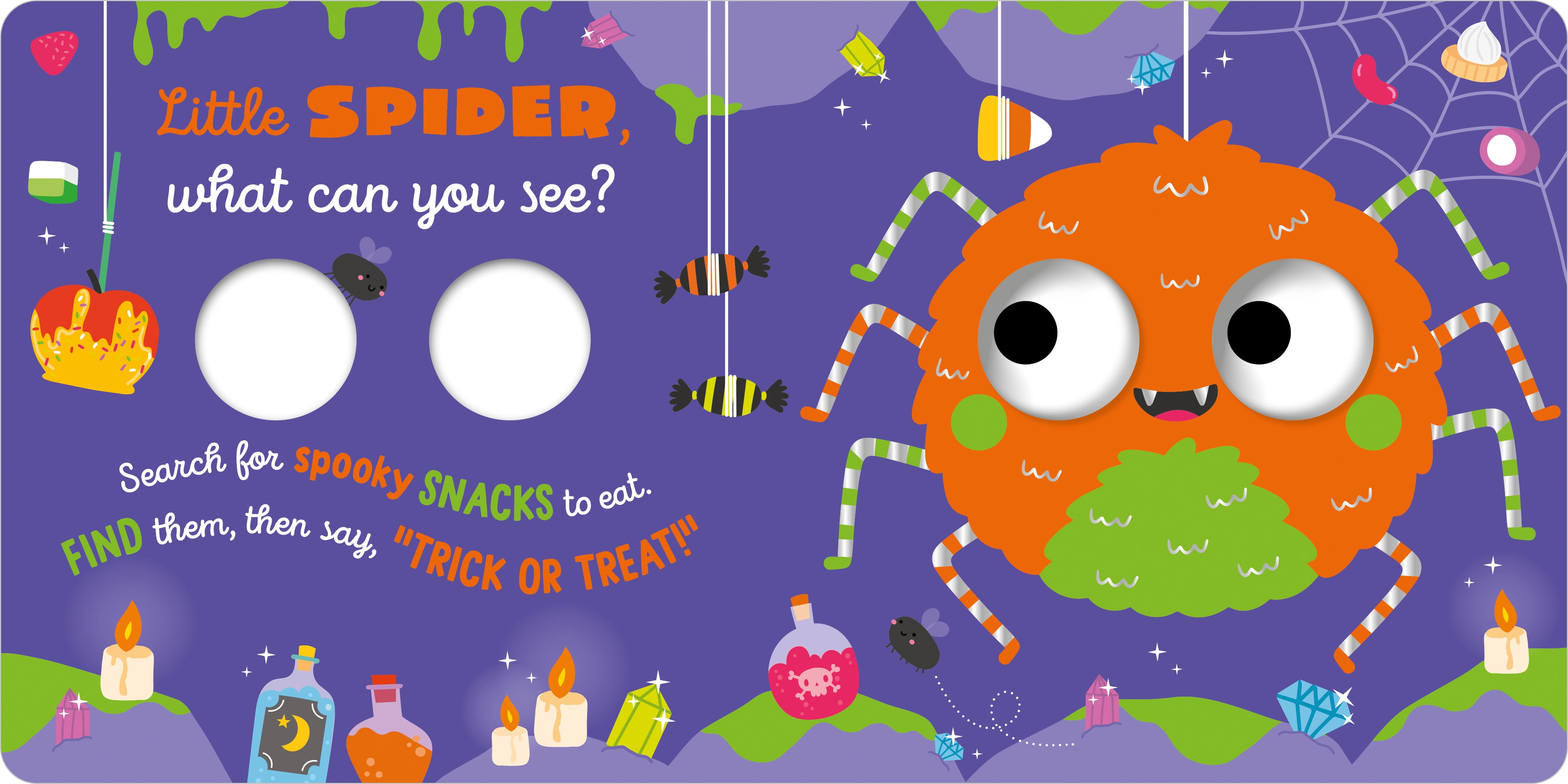 Little Bat What Can You See? (Board Book)