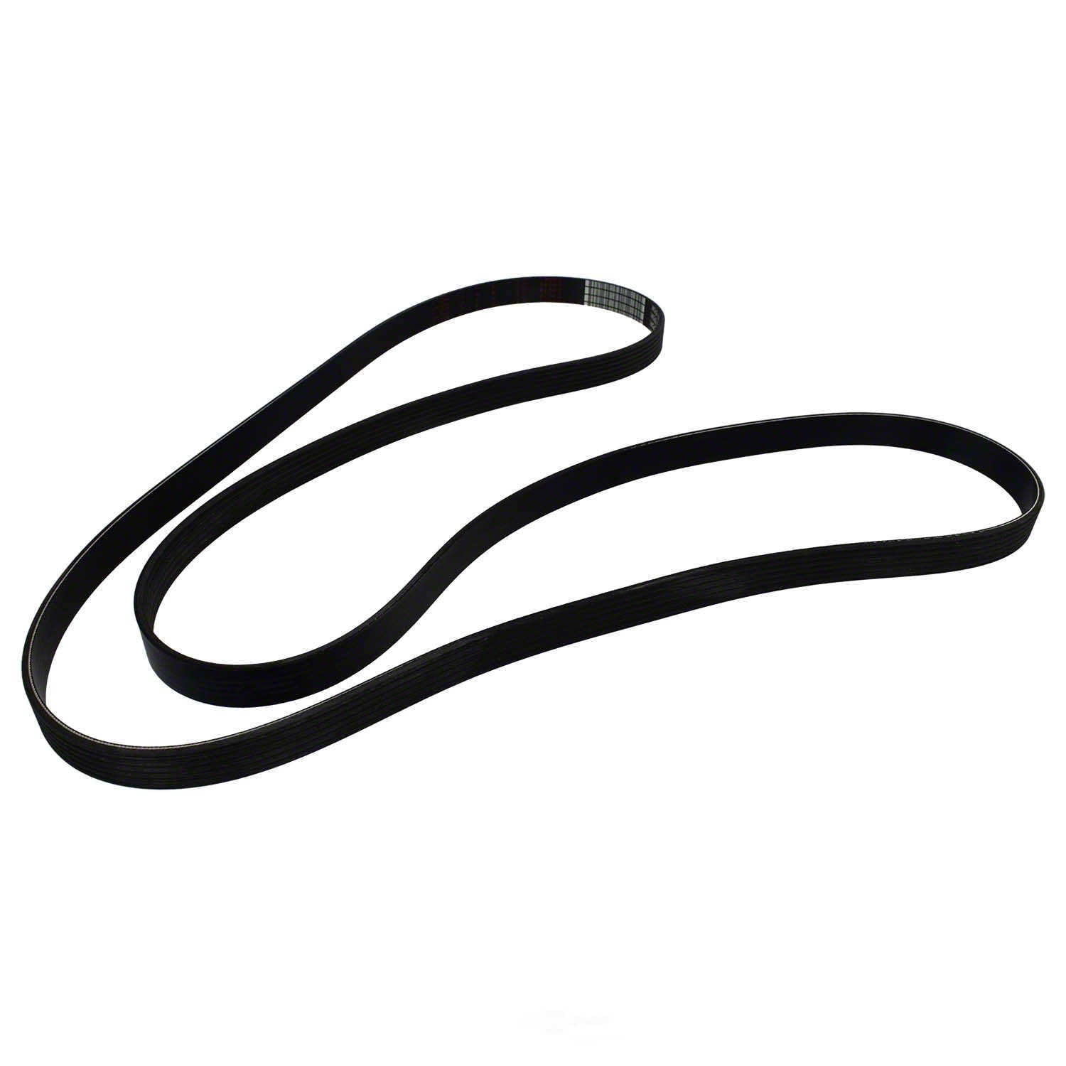 Motorcraft JK6-891-B Serpentine Belt