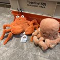 thumbnail image 5 of JELLYCAT-Muñeca de la serie de mariscos, cangrejo crujiente, pulpo, almeja, juguete de peluche, regalo reconfortante para niños, 5 of 5