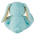 thumbnail image 2 of Hallmark Plush WMT BUNNY, 2 of 4