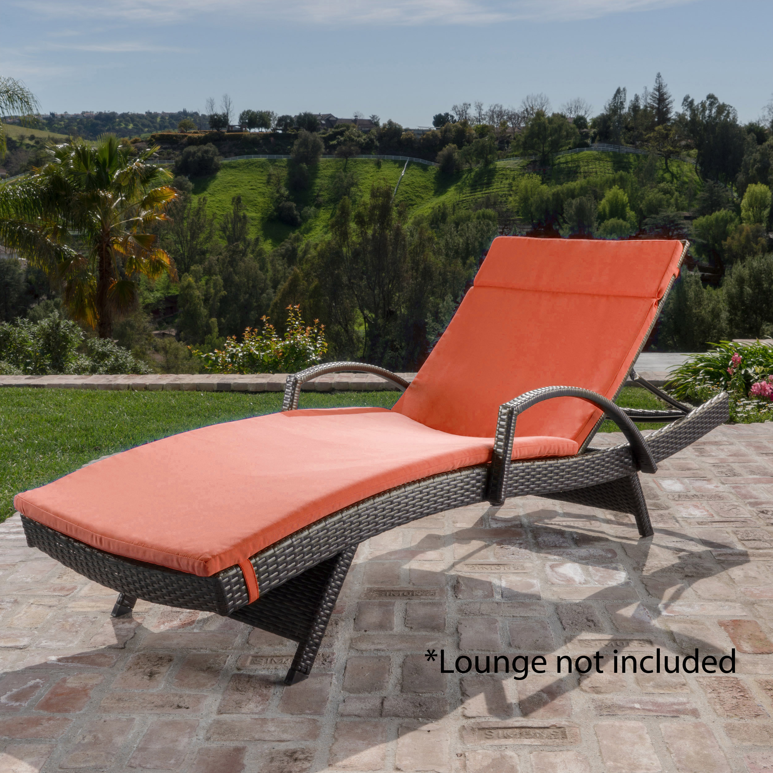 Anthony Outdoor Chaise Lounge Cushion, Orange - Walmart.com - Walmart.com
