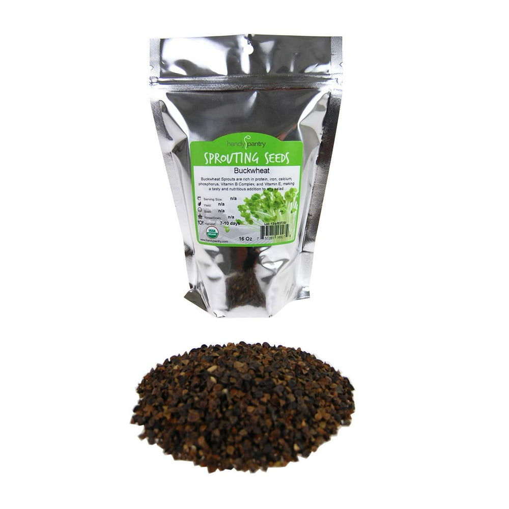 Bulk Organic Buckwheat Sprouting Seed 1 LB Unhulled Organic