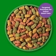 thumbnail image 6 of (4 pack) 9Lives Indoor Essentials Dry Cat Food for Adult Cats with Chicken & Salmon Flavors, 3.15 lb. Bag, 6 of 12