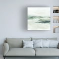 thumbnail image 4 of Canvas Wall Art - June Erica Vess 'Sage Coast II' Wall Art for Living Room, Bedroom, or Office Décor by Trademark Fine Art - 35 x 35 Inches, 4 of 4