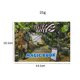 thumbnail image 4 of Magic 3D Stereoscopic Film Book Magic Trick Magician Close-up Props Gimmick Prank Tool, Entertainment, 4 of 4