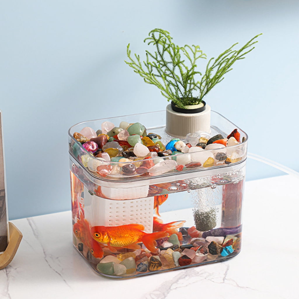 Simple Clear Aquarium With Integrated USB Oxygen Pumps Systems Great For Home and Office Use Easy to Use Fish Bowl