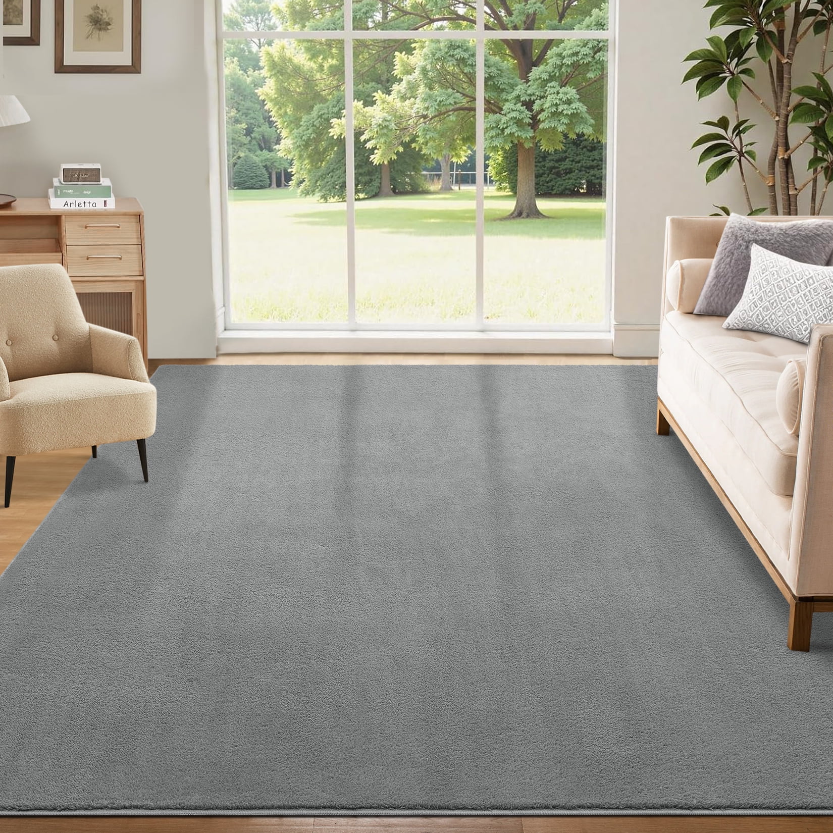 Hasoo Washable Area Rug Modern Minimalist Gray Rug with Non Slip Backing Soft Fluffy Living Room Carpet