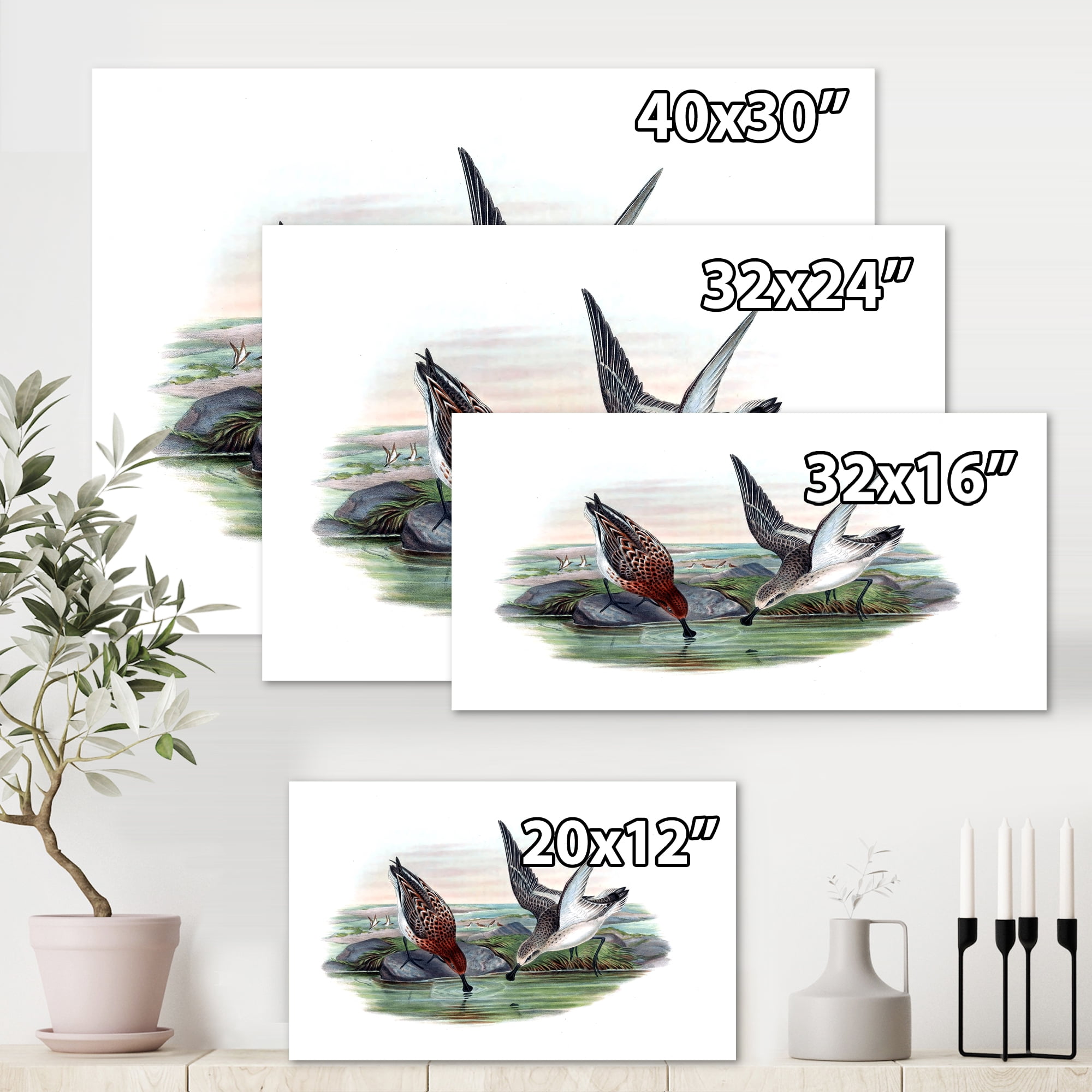 Designart ' Vintage Countryside Two Birds In Lake ' Farmhouse Canvas Wall Art Print