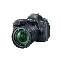 Canon EOS 6D Mark II EF 24-105mm Kit