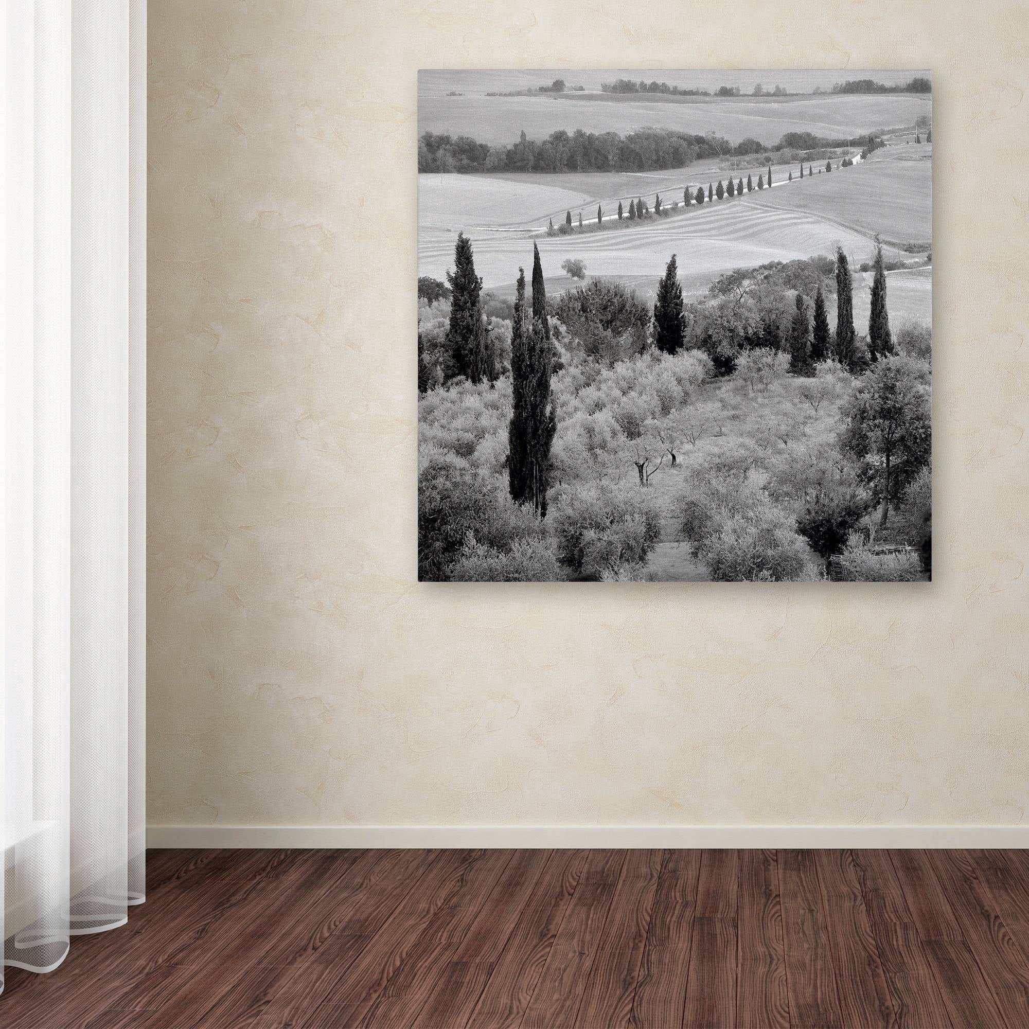Trademark Fine Art "Tuscany X" Canvas Art by Alan Blaustein