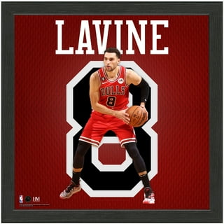 Zach Lavine Jersey