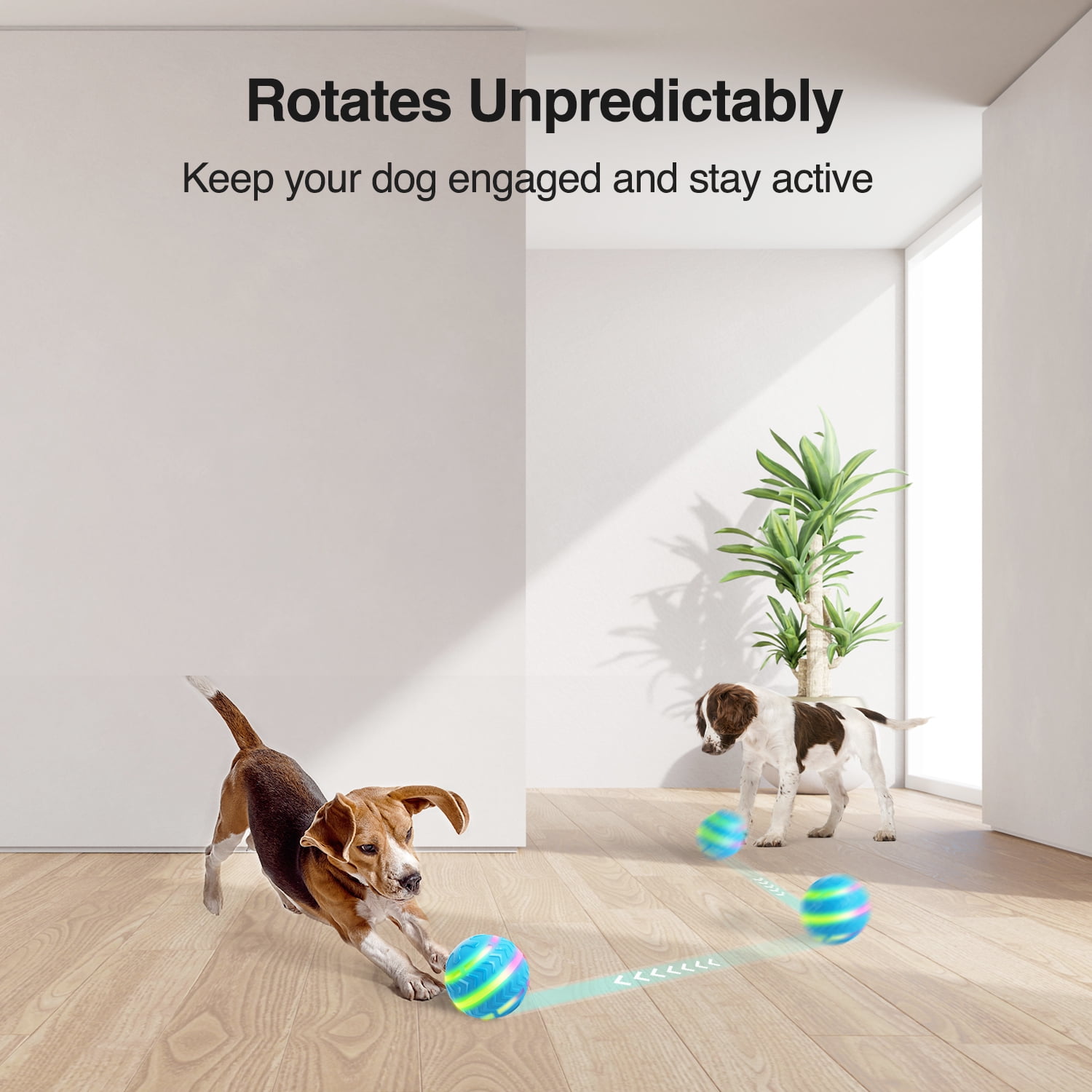 All for Paws Interactive Moving Ball Toy for Dogs, Motion Activated LED Bouncing Dog Ball Toy, USB Rechargeable