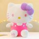 thumbnail image 3 of Sanrio Hello Kitty Kuromi Melody Peluches Lindos Peluches Cinnamoroll Juguetes Kawaii Bebé Regalos de Navidad Muñecas para Niñas, 3 of 5