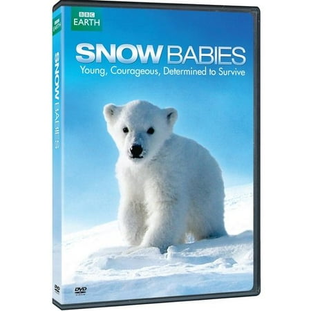 Snow Babies / Polar Bear: Spy On The Ice