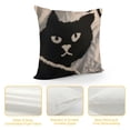 thumbnail image 4 of SHANXI Cute Black Cat Decor Neutral Beige Embroidered Velvet Decorative Throw Pillow Cover  for Sofa Couch Bed Car 22x22in, 4 of 5