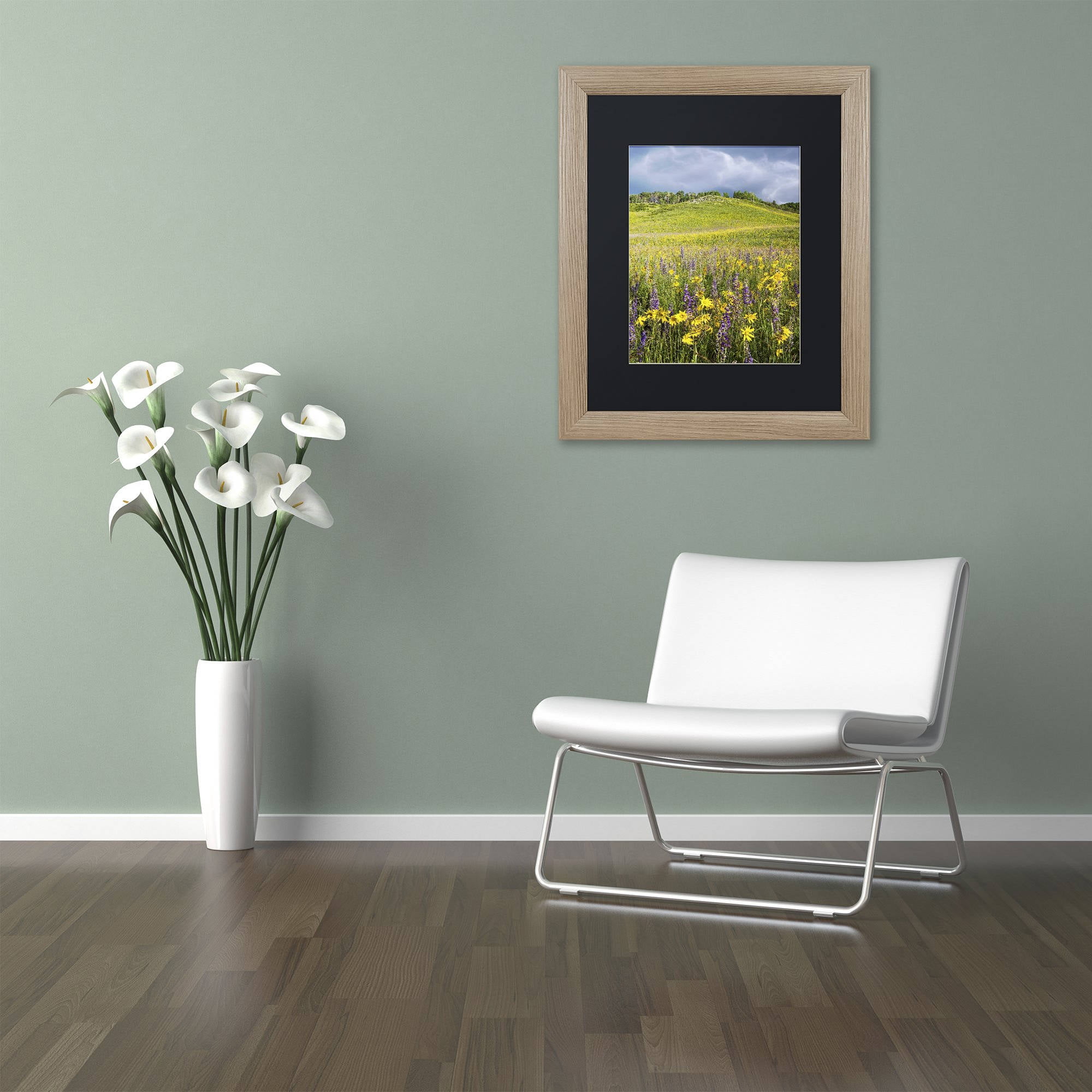 Trademark Fine Art "Hillside Bloom" Canvas Art by Michael Blanchette Photography Black Matte, Birch Frame