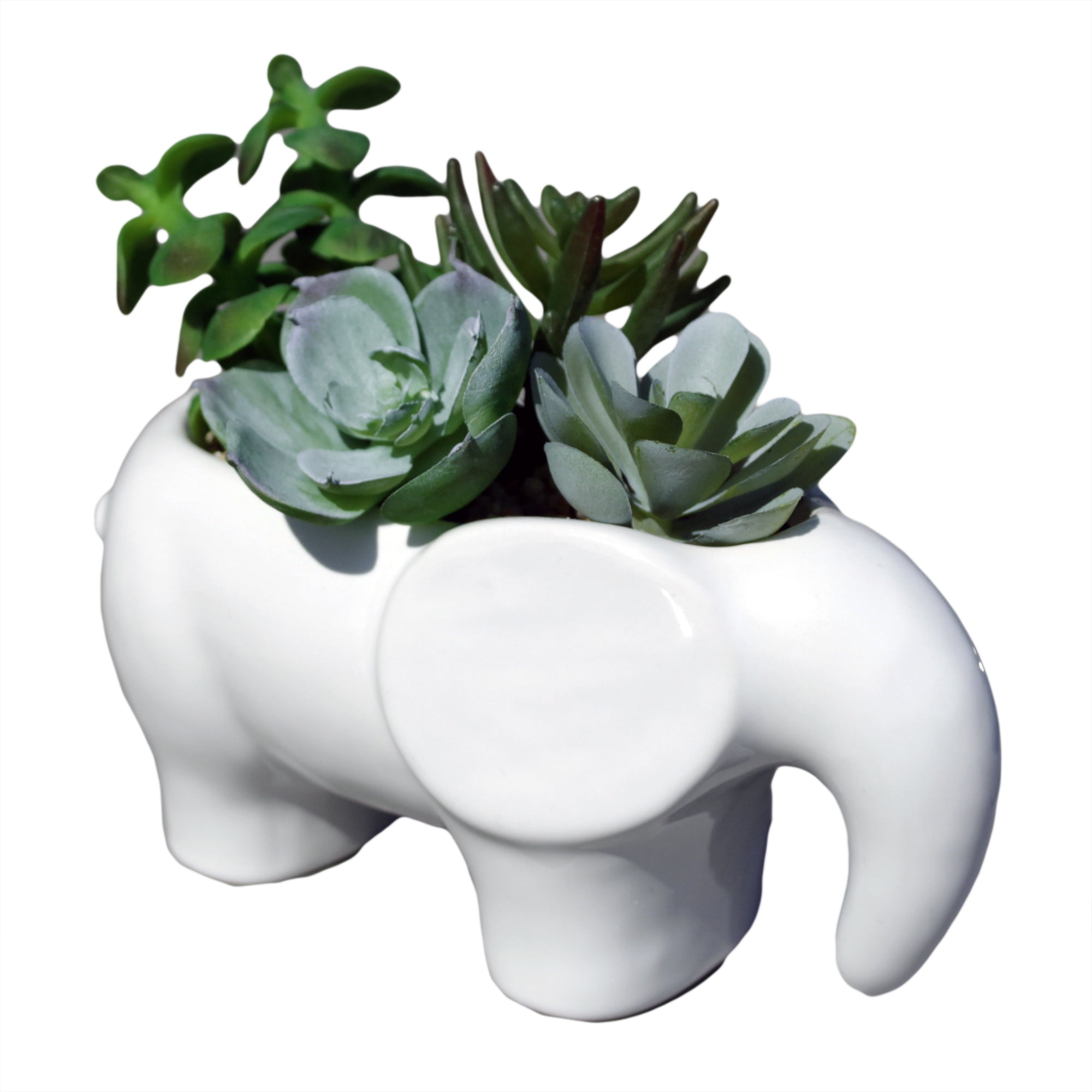 Mainstays 5.2" Artificial Succulent in White Ceramic Elephant Planter (5.2"H x 6.5"L x 3.5"W)