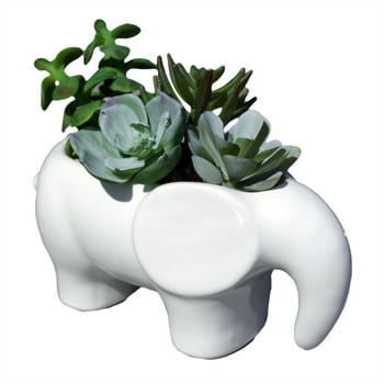 Mainstays 5.2" Artificial Succulent in White Ceramic Elephant er (5.2"H x 6.5"L x 3.5"W)