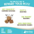 Raw Paws GrainFree Soft OIF8 Training Treats for Dogs Butter Recipe