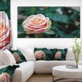 thumbnail image 1 of Fleur de Rose Rouge et Orange Gros Plan - Impression sur Toile Florale, 1 of 3