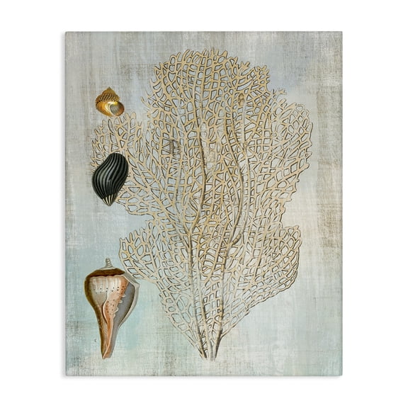 Stupell Industries Detailed Coral & Seashells Animals Painting Wrapped Canvas Canvas Art Print Wall Art, 16 x 20