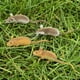 thumbnail image 4 of Ratón Adorno de Imán de Nevera Sunnimix Colgador de Decoración de Jardín 8 Piezas, 4 of 8
