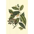 thumbnail image 2 of Vision Studio 13x18 White Modern Wood Framed Museum Art Print Titled - Flourishing Foliage III, 2 of 4