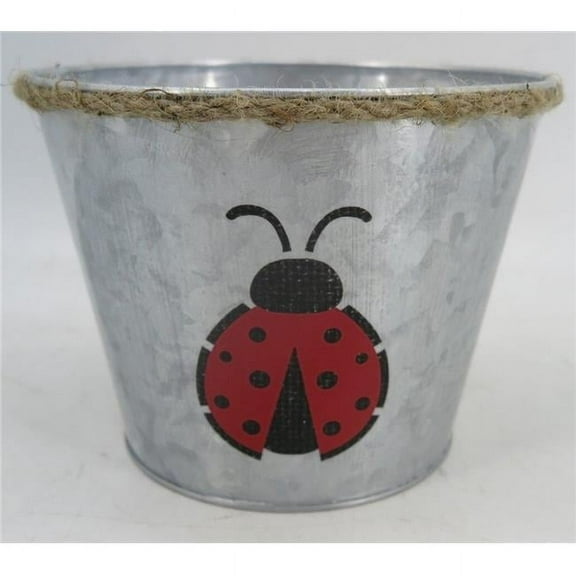 MDR Trading Inc. AI-GA3510-421_Q01 Metal With Lady Bug And Rope Trim Planter