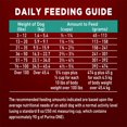 thumbnail image 3 of Purina ONE True Instinct Salmon & Tuna, Dry Dog Food 12.4kg, 3 of 9