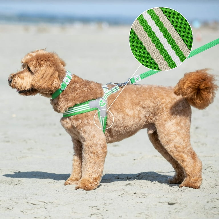 Hugo Hudson Easy Walk V Dog Harness Anti Pulling Green Size 5