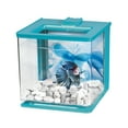 thumbnail image 1 of Marina 2.5L EZ Care Betta Aquarium Kit, Blue - 2.5 L (0.7 US gal) Capacity, 1 of 4