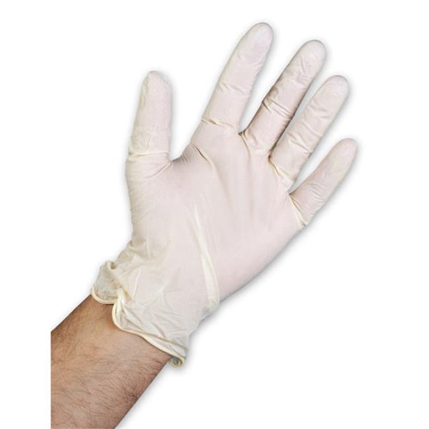 Disposable White Non Latex Powder Free Gloves Large, Set of 100