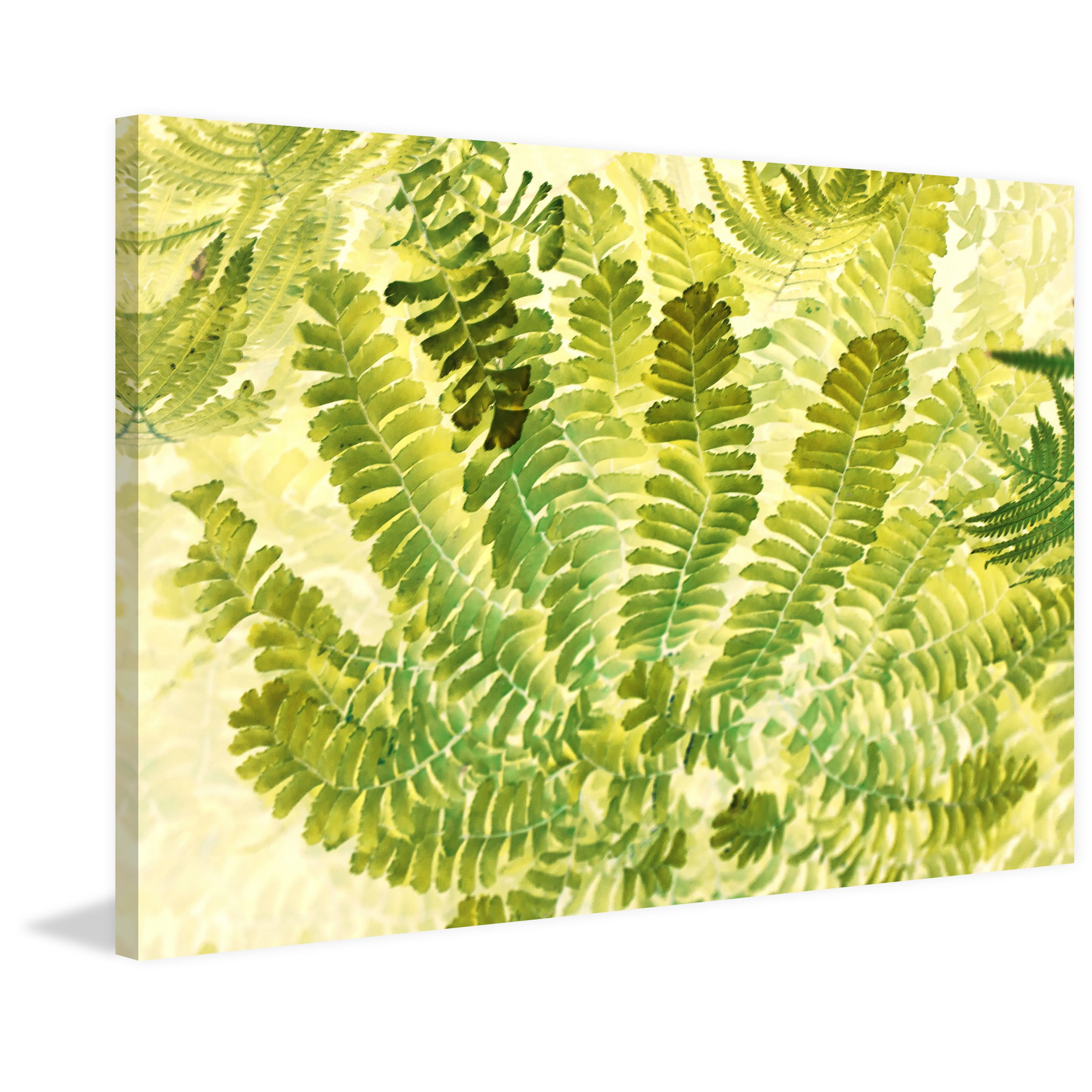 "Fern Fantasy I" Painting Print on Wrapped Canvas
