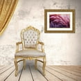 thumbnail image 3 of Beata, Angyalosi 32x23 Gold Ornate Wood Framed with Double Matting Museum Art Print Titled - Flamingo, 3 of 4