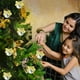 thumbnail image 5 of Bolas de Navidad Arcoíris, Bolas de Cristal Resistentes, Adornos de Navidad para Árbol, Bolas Shatterproof, Luces de Navidad, Decoración de Navidad para Exterior, Bolas de Navidad con Cinta,, 5 of 8