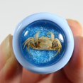 thumbnail image 4 of ED SPELDY EAST OR032-7 Ring  Crab  Blue with Blue Background  Size 7, 4 of 4