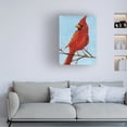 thumbnail image 3 of Phyllis Adams 'Cardinal II' Canvas Art, 3 of 3