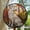 German Shepherd4, variant on Hanging Stained Glass for Windows Poppies, Mother’s Day Keepsake, Valentine’s Day Decor, Festival Gift Ornament, Christmas Ornament Gift, Keepsake 2025