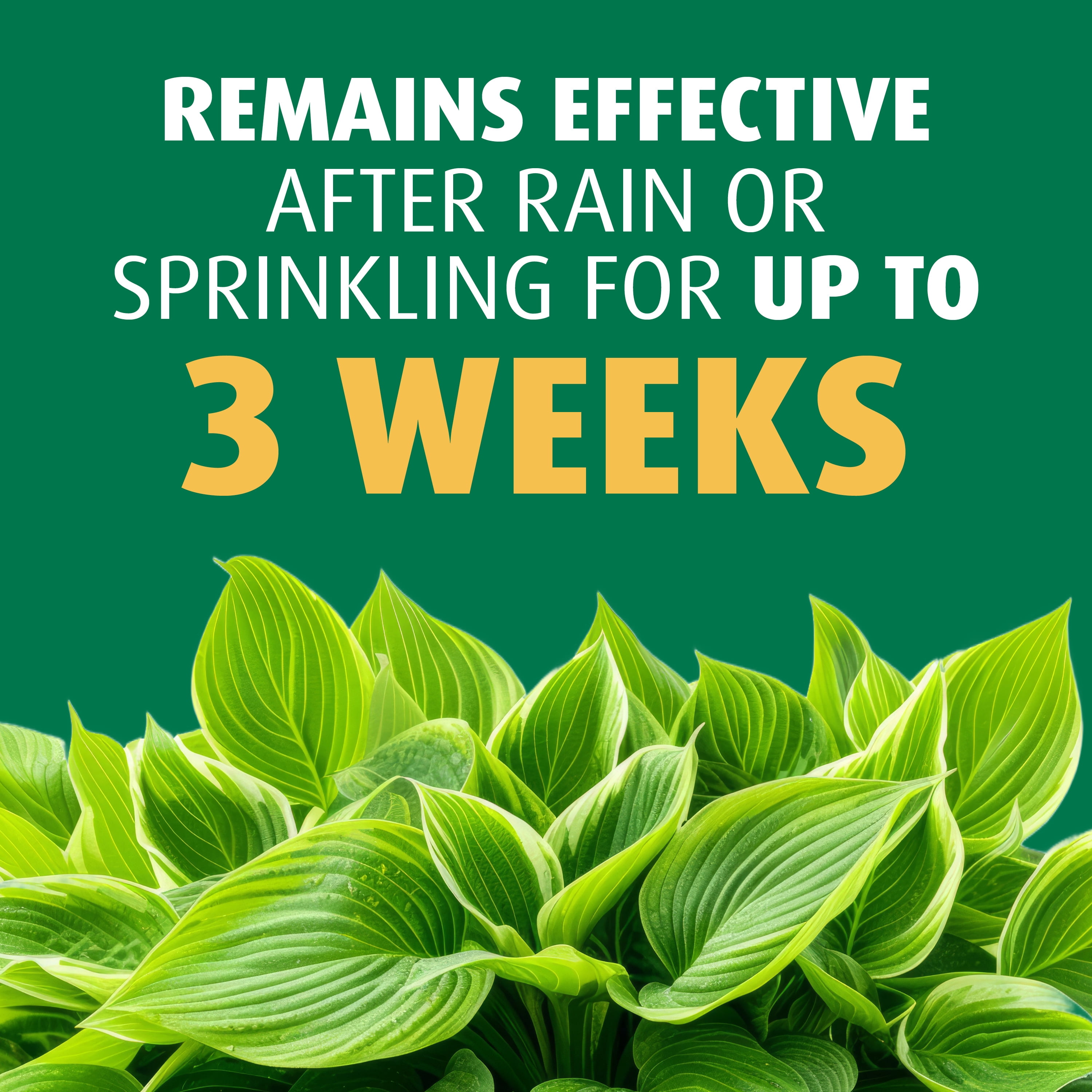 Ortho Bug-Geta Snail & Slug Killer2, Pest Control Stays Effective For Up to 3 Weeks, 2 lbs.
