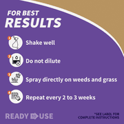 Bonide Captain Jack's Deadweed Brew Organic Weed & Grass Killer - Pack of 2 — Residential Use, Standard Application