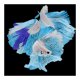 thumbnail image 1 of Cuadros Decorativos Koi Fish 5D DIY Kits de pintura de diamantes Arte de taladro parcial en forma especial (YXC 339) Likrtyny embutido en tela, 1 of 1