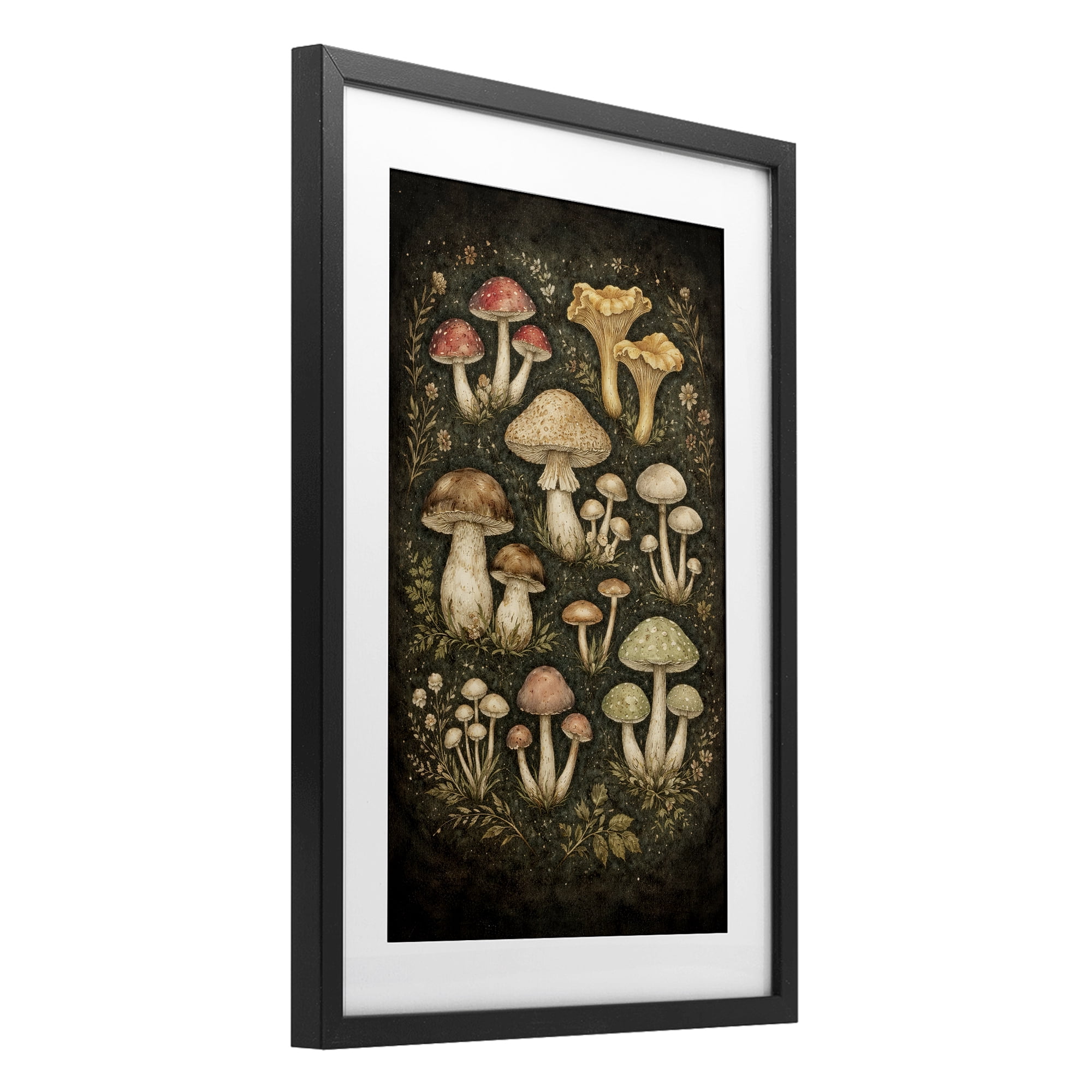 Stupell Industries Organic Sprouting Mushrooms Black Framed Print Under Glass, design by Tom Crehan